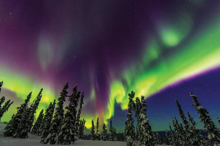 Aurora Borealis III, Northern Lights Near Fairbanks, Alaska
