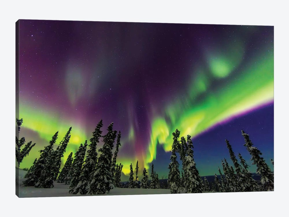 Aurora borealis, northern lights, near Fairbanks, Alaska III by Stuart Westmorland 1-piece Canvas Artwork