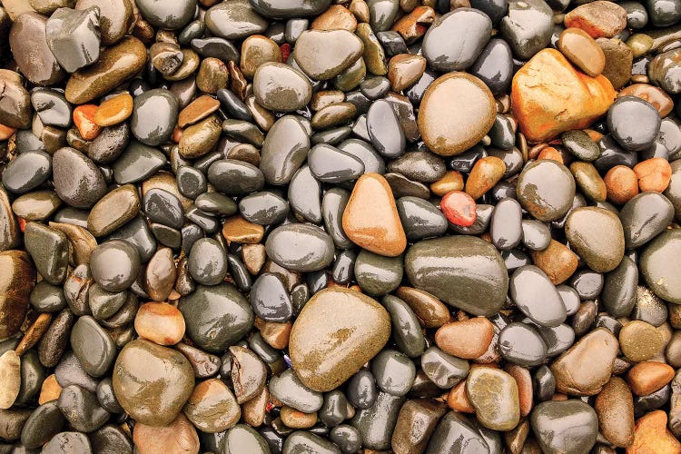 Close-up of beach rocks, Oregon I