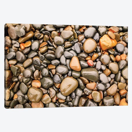 Close-up of beach rocks, Oregon I Canvas Print #SWE19} by Stuart Westmorland Canvas Print