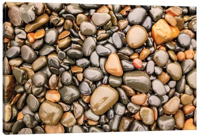 Close-up of beach rocks, Oregon I Canvas Art Print