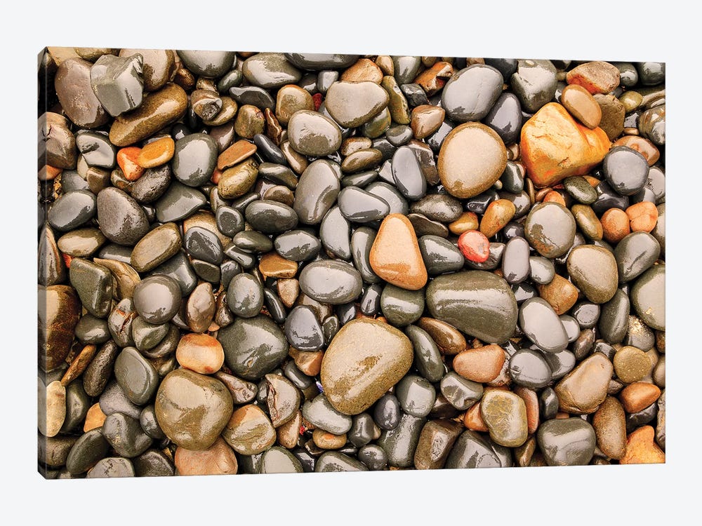 Close-up of beach rocks, Oregon I by Stuart Westmorland 1-piece Canvas Wall Art