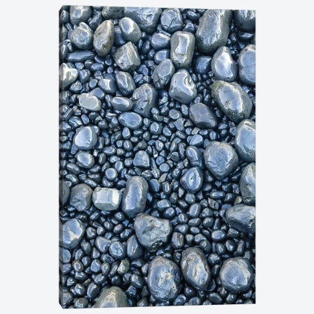 Close-up of beach rocks, Oregon II Canvas Print #SWE20} by Stuart Westmorland Canvas Art