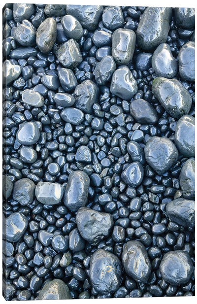 Close-up of beach rocks, Oregon II Canvas Art Print