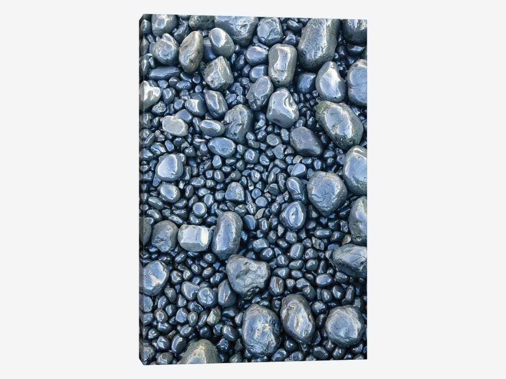 Close-up of beach rocks, Oregon II by Stuart Westmorland 1-piece Canvas Artwork