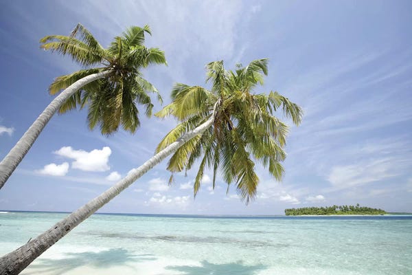Islands: North Huvadhoo Atoll, Southern Maldives, Indian Ocean by Stuart Westmorland