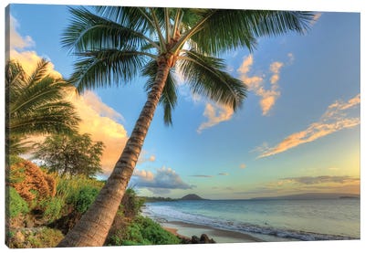 Sunset at beach, Wailea, Maui, Hawaii, USA Canvas Art Print