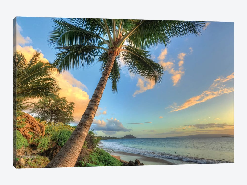 Sunset at beach, Wailea, Maui, Hawaii, USA by Stuart Westmorland 1-piece Canvas Artwork