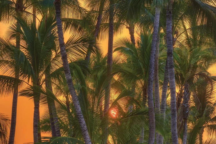 Anaeho'omalu Bay I, Kohala Coast, Big Island, Hawaii, USA