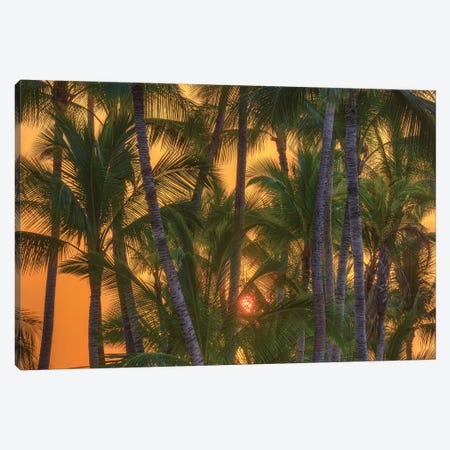 Anaeho'omalu Bay, Kohala Coast, Big Island, Hawaii, USA Canvas Print #SWE30} by Stuart Westmorland Canvas Art Print