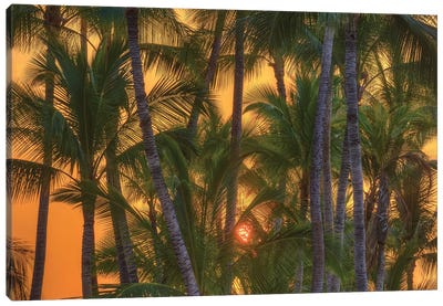Anaeho'omalu Bay, Kohala Coast, Big Island, Hawaii, USA Canvas Art Print