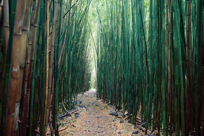 Haleakalā National Park