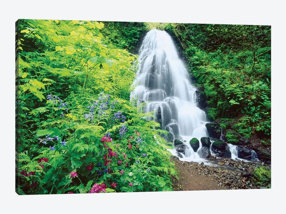 Fairy Falls, wildflowers, Columbia Gorge, Oregon by Stuart Westmorland 1-piece Canvas Art