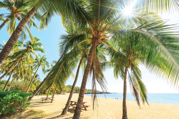 Hulopo'e Beach Park, Lanai Island, Hawaii, USA by Stuart Westmorland wall art