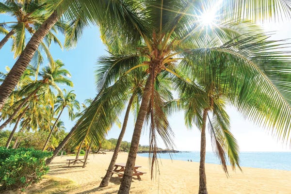 Stuart Westmorland: Hulopo'e Beach Park, Lanai Island, Hawaii, USA by Stuart Westmorland