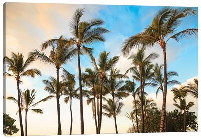 Kaloko-Honokohau Beach Park near Kona, Big Island, Hawaii, USA Canvas Art Print