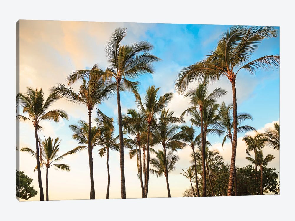 Kaloko-Honokohau Beach Park near Kona, Big Island, Hawaii, USA by Stuart Westmorland 1-piece Canvas Art