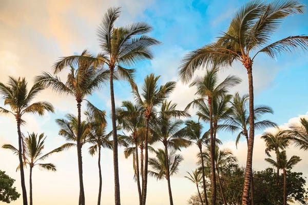 Kaloko-Honokohau Beach Park near Kona, Big Island, Hawaii, USA