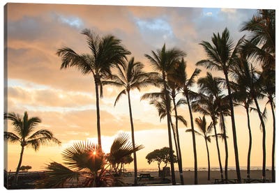 Kaloko-Honokohau Beach Park near Kona, Big Island, Hawaii, USA Canvas Art Print - The Big Island (Island of Hawai'i)