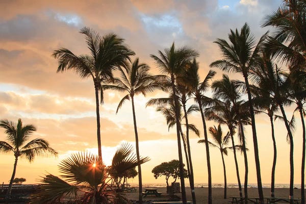 Kaloko Honokohau Beach Park Near Kona Big Island Hawaii USA Ver. II