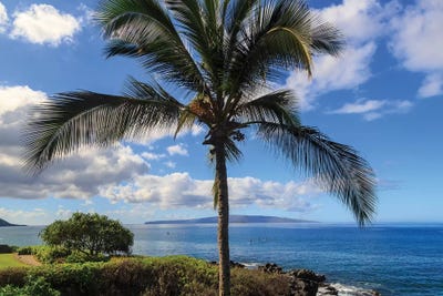 Maui, Hawaii, USA by Stuart Westmorland framed canvas print