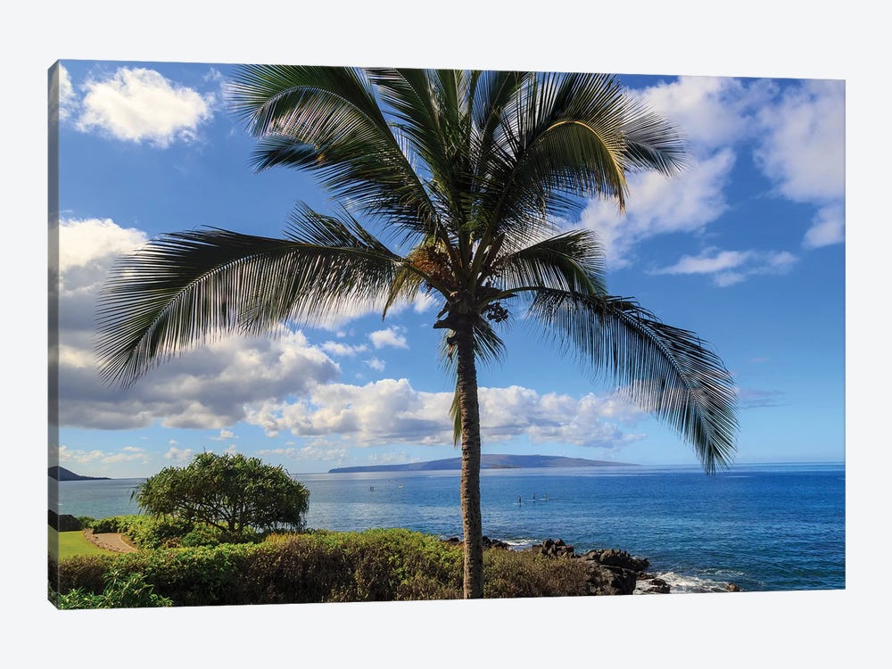 Maui, Hawaii, USA 1-piece Art Print