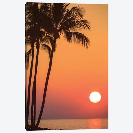 Maui, Hawaii, USA. Palm trees in the sunset. Canvas Print #SWE57} by Stuart Westmorland Canvas Artwork