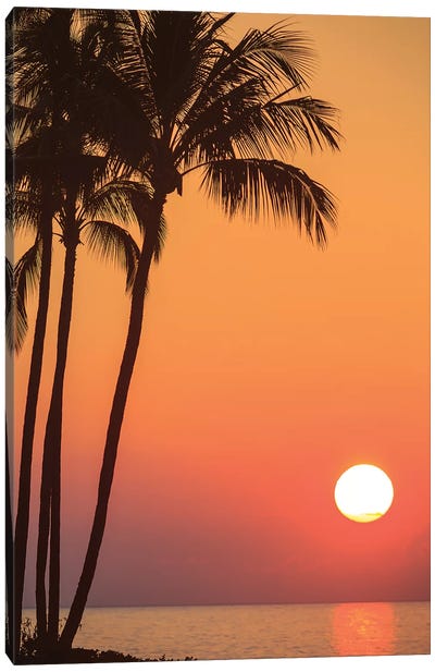 Maui, Hawaii, USA. Palm trees in the sunset. Canvas Art Print