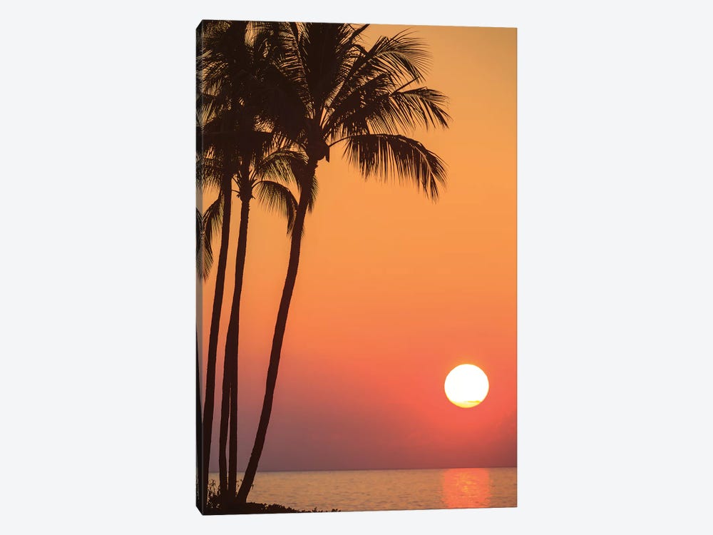 Maui, Hawaii, USA. Palm trees in the sunset. by Stuart Westmorland 1-piece Canvas Artwork