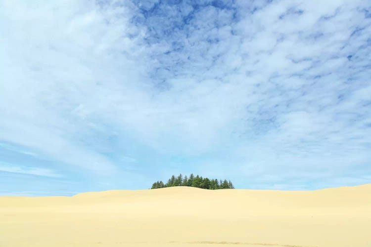 Oregon Dunes National Recreation Area, Oregon Coast near Reedsport.