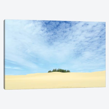 Oregon Dunes National Recreation Area, Oregon Coast near Reedsport. Canvas Print #SWE59} by Stuart Westmorland Art Print