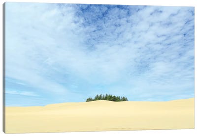 Oregon Dunes National Recreation Area, Oregon Coast near Reedsport. Canvas Art Print