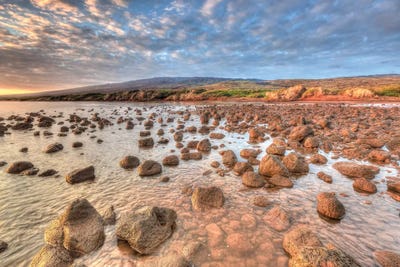 Rocky Shore near Kaleahi at sunrise, North Shore, Lanai Island, Hawaii by Stuart Westmorland canvas print