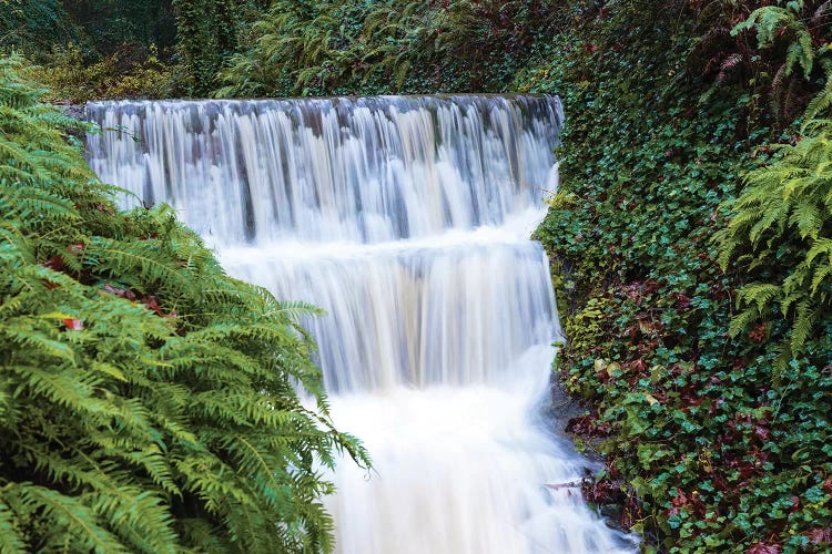 Seasonal creek on outskirts of Portland, Oregon, USA