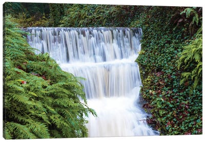 Seasonal creek on outskirts of Portland, Oregon, USA Canvas Art Print