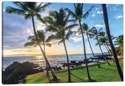 Small beach in Makena area, Maui, Hawaii, USA Canvas Art Print