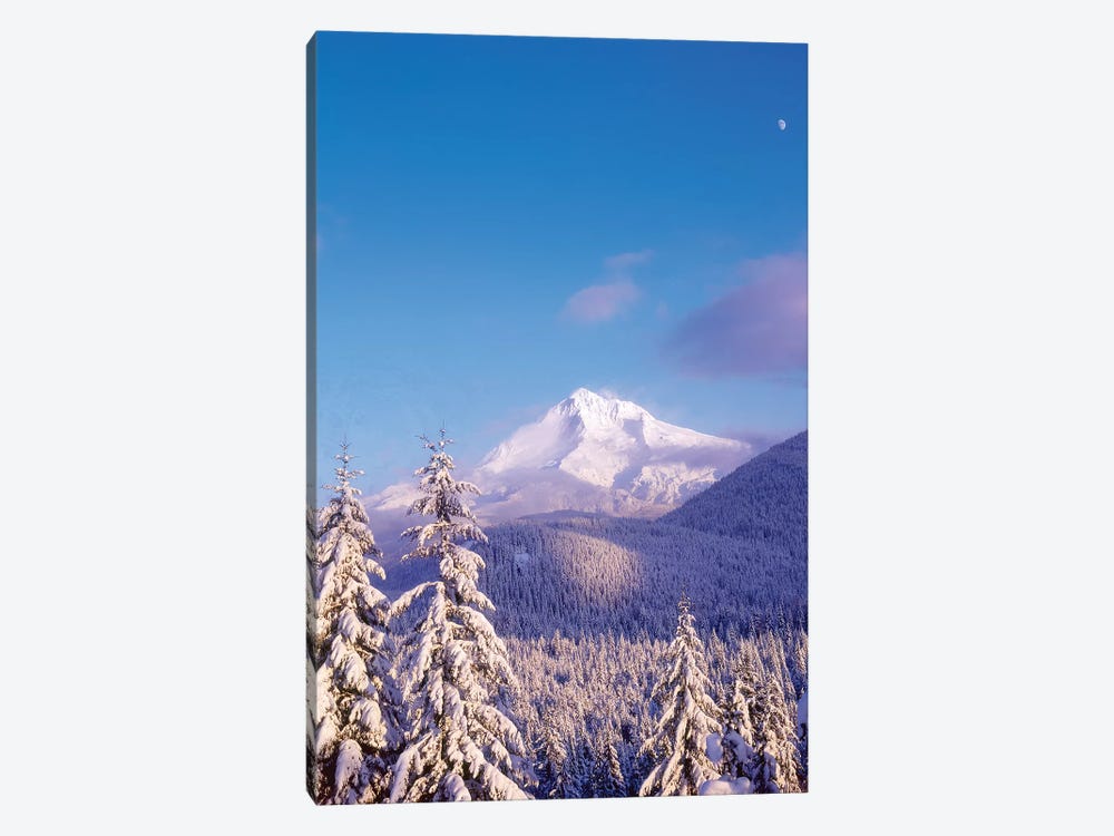 Snow-covered trees, Mt. Hood (highest point in Oregon), Mt. Hood National Forest, Oregon by Stuart Westmorland 1-piece Art Print