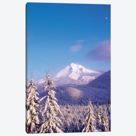 Snow-covered trees, Mt. Hood (highest point in Oregon), Mt. Hood National Forest, Oregon Canvas Print #SWE70} by Stuart Westmorland Canvas Art Print