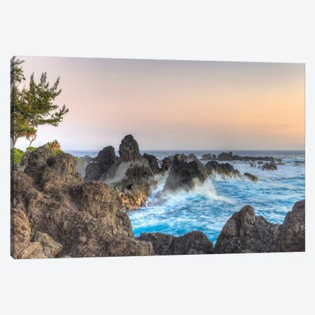 Sunrise at Laupahoehoe Beach Park, Hamakua Coast, Big Island, Hawaii Canvas Print #SWE85} by Stuart Westmorland Art Print