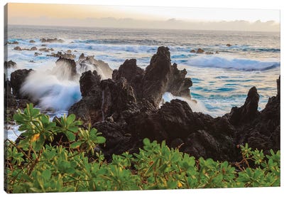Sunrise at Laupahoehoe Beach Park, Hamakua Coast, Big Island, Hawaii Canvas Art Print - The Big Island (Island of Hawai'i)