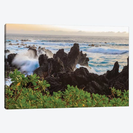 Sunrise at Laupahoehoe Beach Park, Hamakua Coast, Big Island, Hawaii Canvas Print #SWE86} by Stuart Westmorland Canvas Print