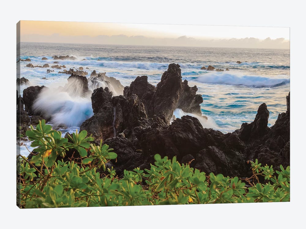 Sunrise at Laupahoehoe Beach Park, Hamakua Coast, Big Island, Hawaii by Stuart Westmorland 1-piece Canvas Art