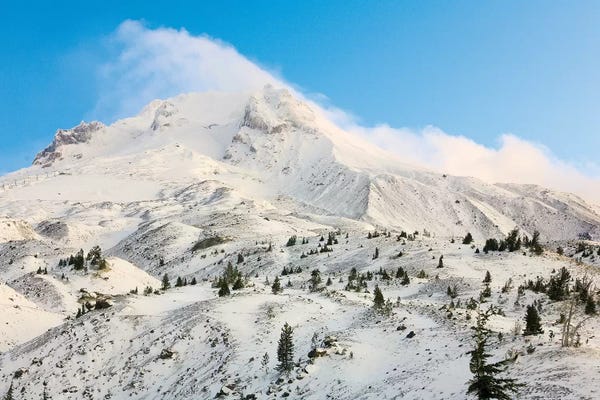 Sunrise view of Mt. Hood near Timberline Lodge, Lolo Pass, Mt. Hood Wilderness Area, Oregon, USA