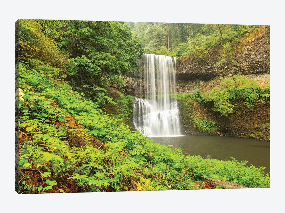 Trail of Ten Falls, Silver Falls State Park, near Silverton, Oregon by Stuart Westmorland 1-piece Canvas Print