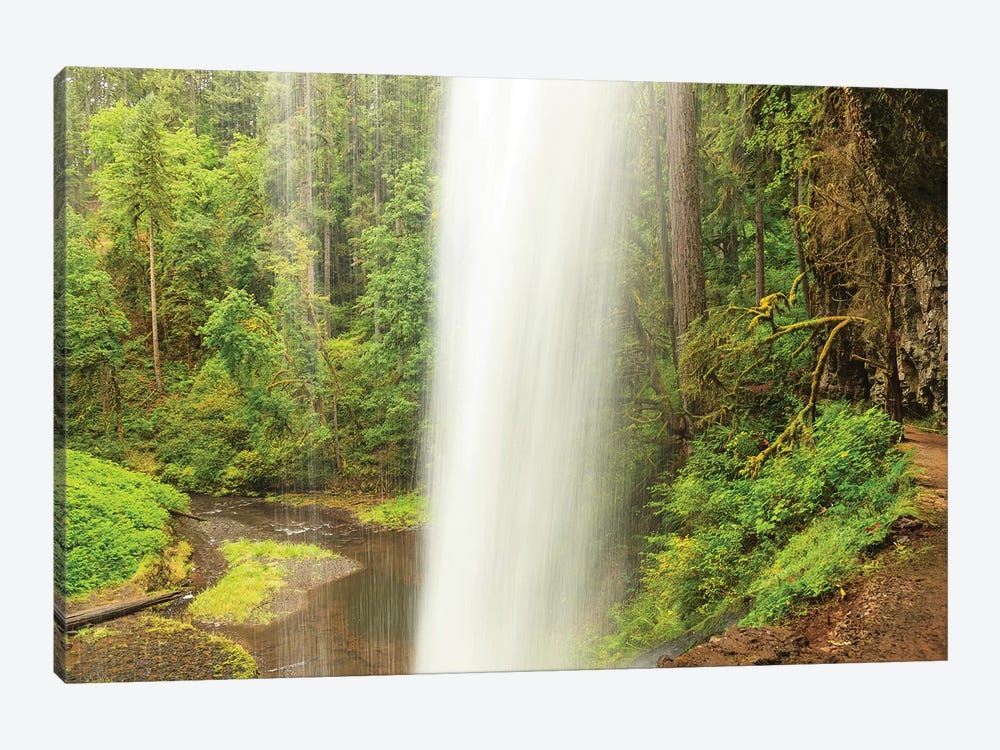 Trail of Ten Falls, Silver Falls State Park, near Silverton, Oregon by Stuart Westmorland 1-piece Canvas Artwork