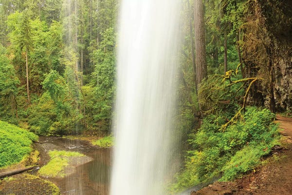 Dingley Green: Trail of Ten Falls, Silver Falls State Park, near Silverton, Oregon by Stuart Westmorland