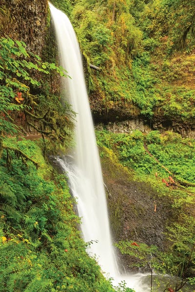 Dingley Green: Trail of Ten Falls, Silver Falls State Park, near Silverton, Oregon by Stuart Westmorland