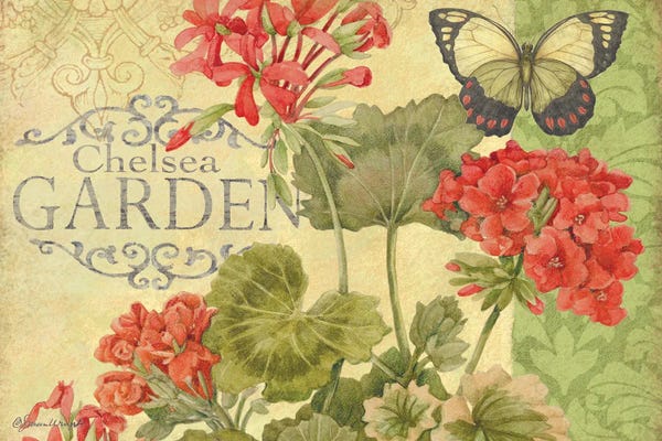 Gardening: Geranium by Susan Winget