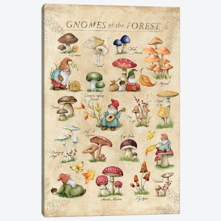 Gnome Chart Canvas Print #SWG107} by Susan Winget Canvas Print