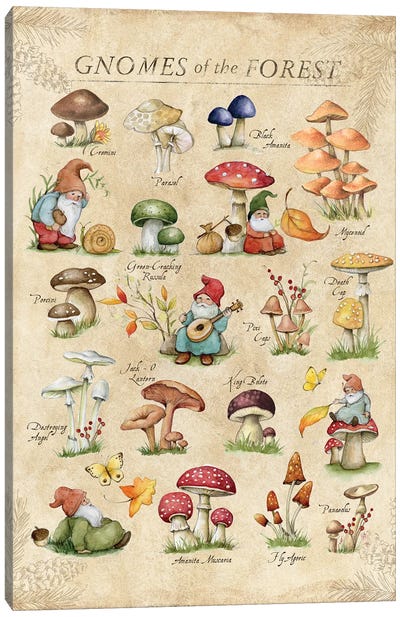 Gnome Chart Canvas Art Print - Mushroom Art